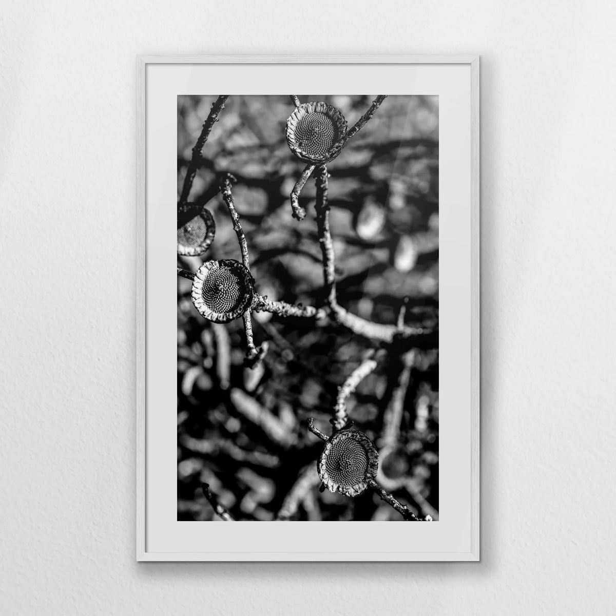 PWP070W100