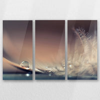AC-060R040
