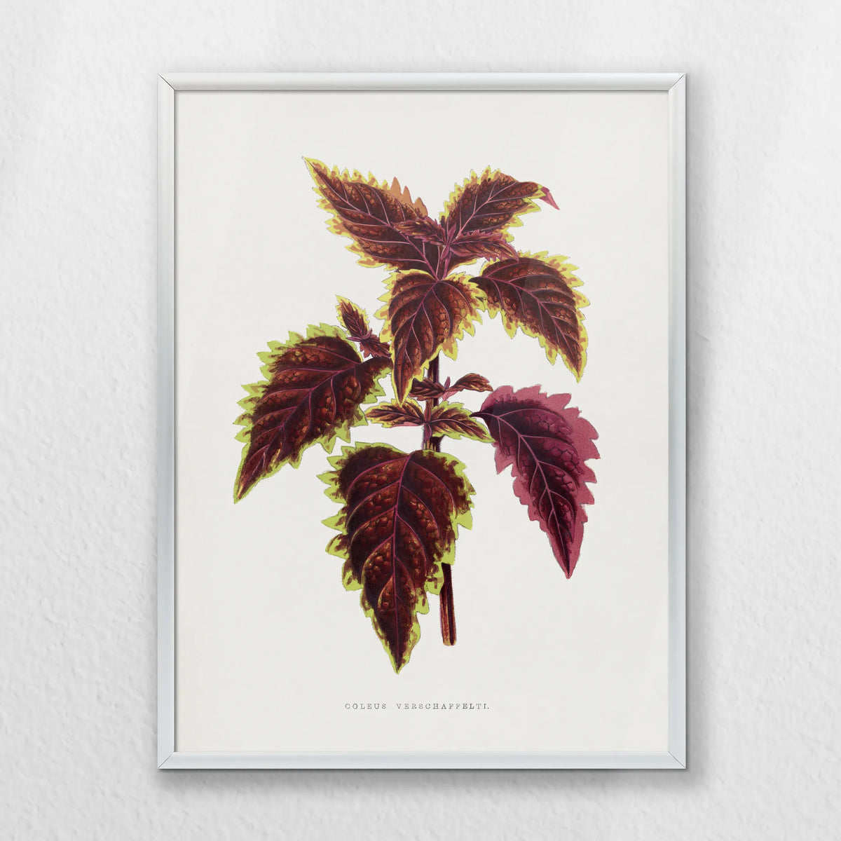 PS-030W040