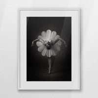 PWP060W080