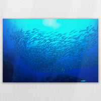 LW-120W080