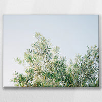 LW-060W045