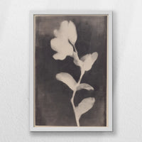 LWW040W060