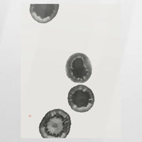 PO-060W080