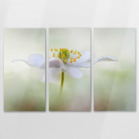 AL-150R100