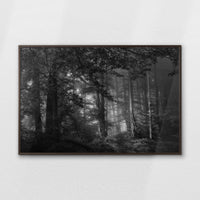 LWN120W080