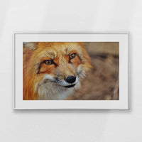 PSP093W062