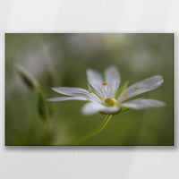 LW-045W030