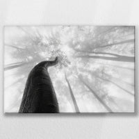 LW-030W020