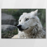 AC-075W050
