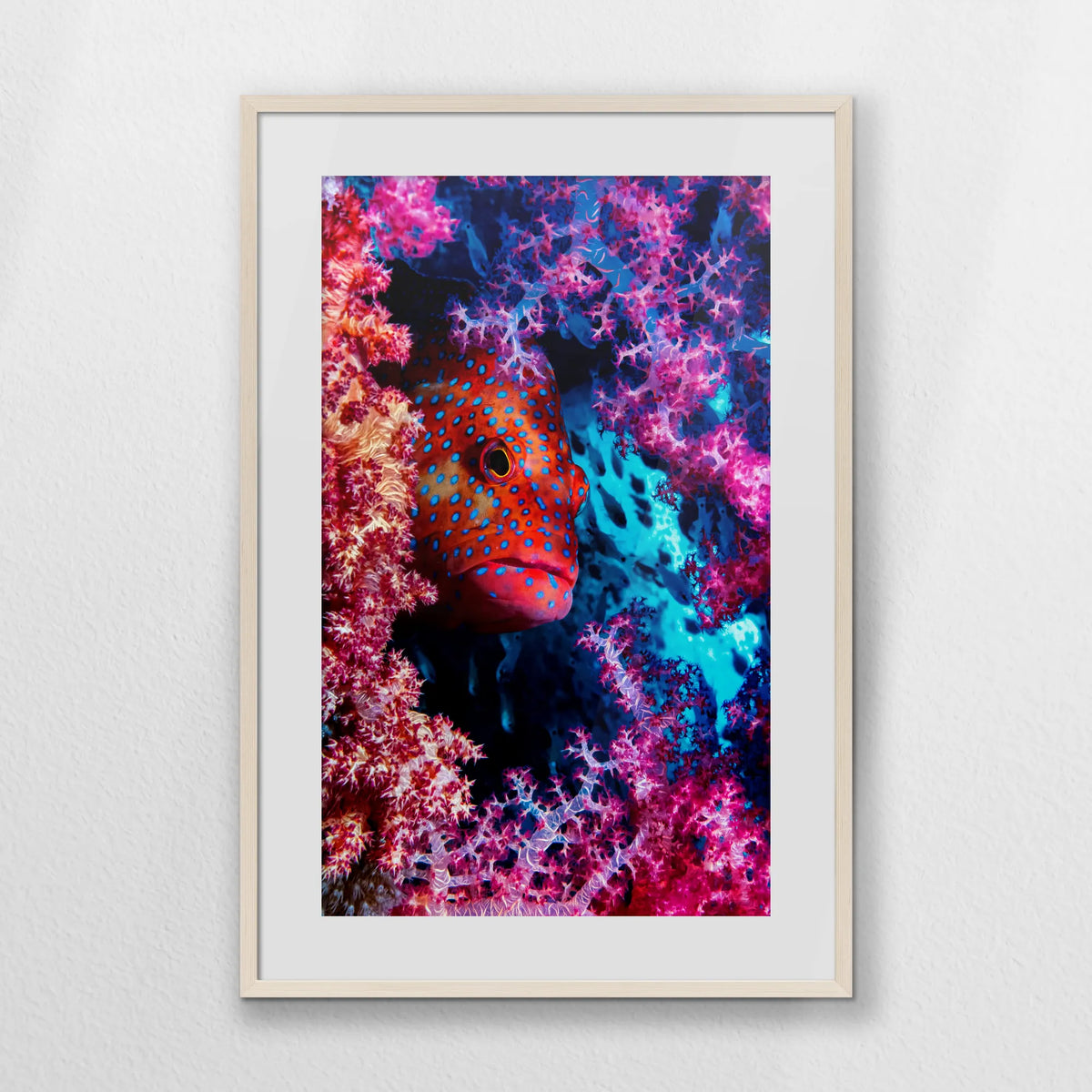 PNP062W093