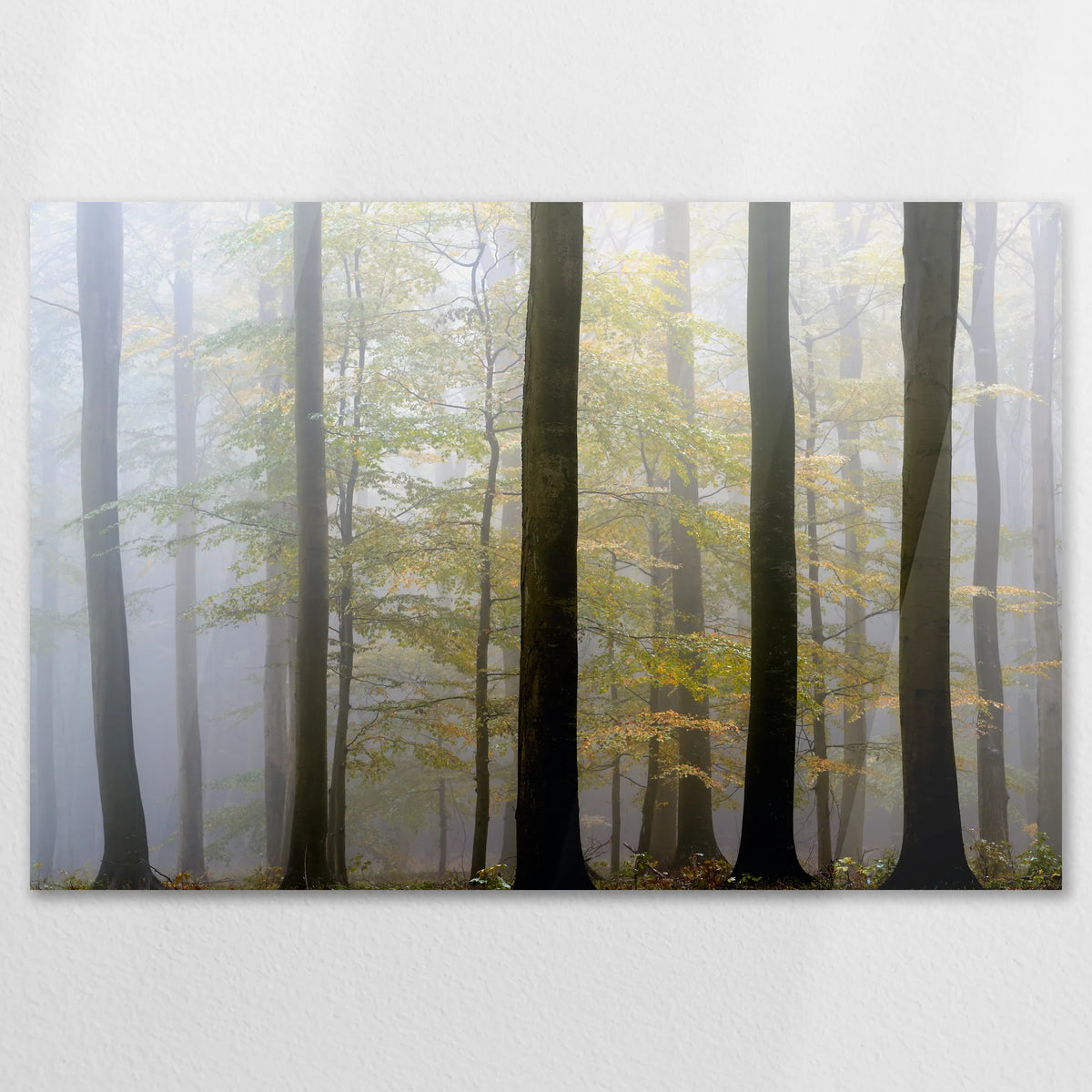 AC-120W080