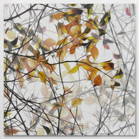 AC-070W070