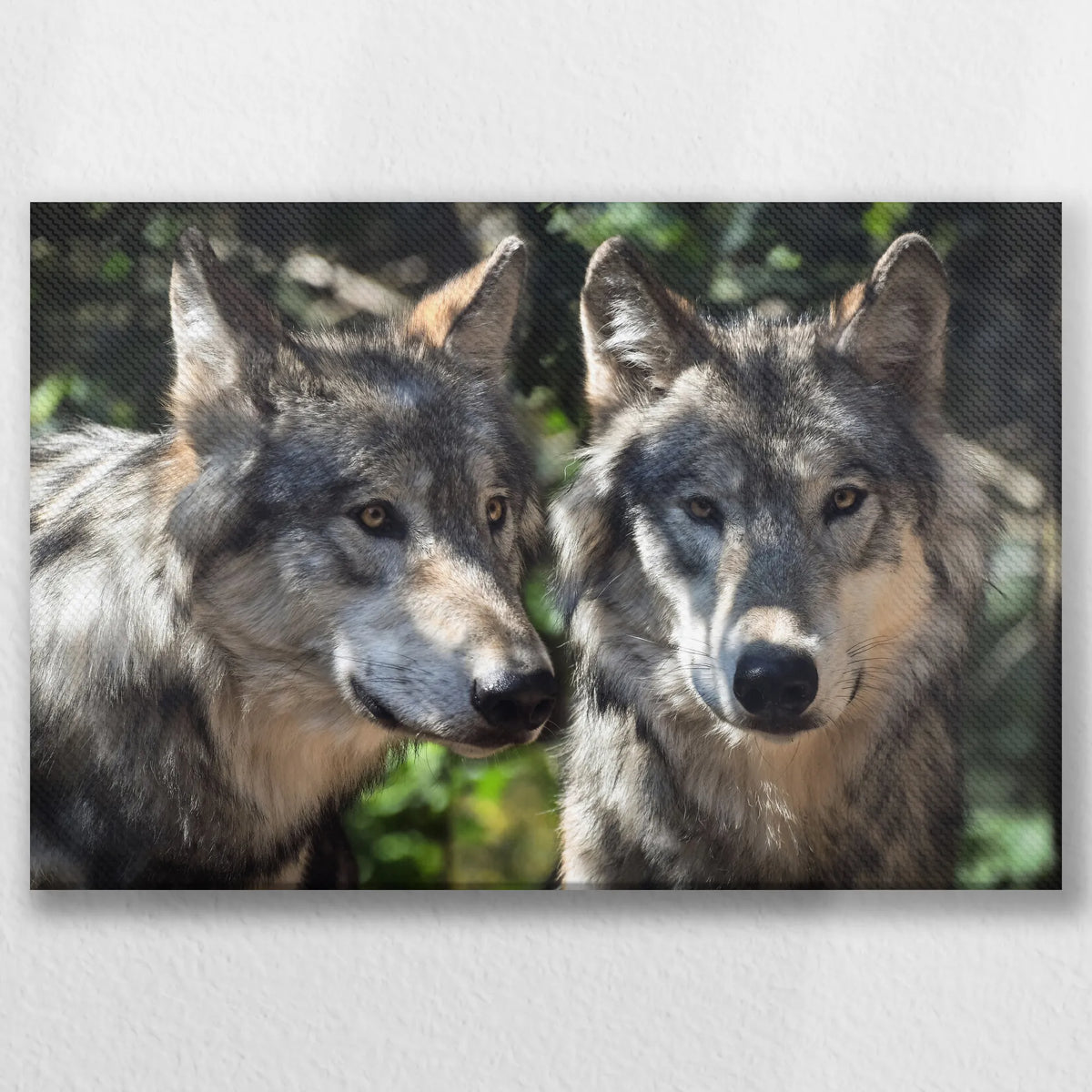 LW-045W030