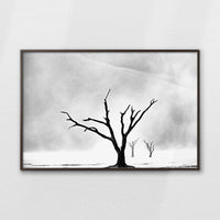 LWN120W080