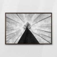 LWN100W070