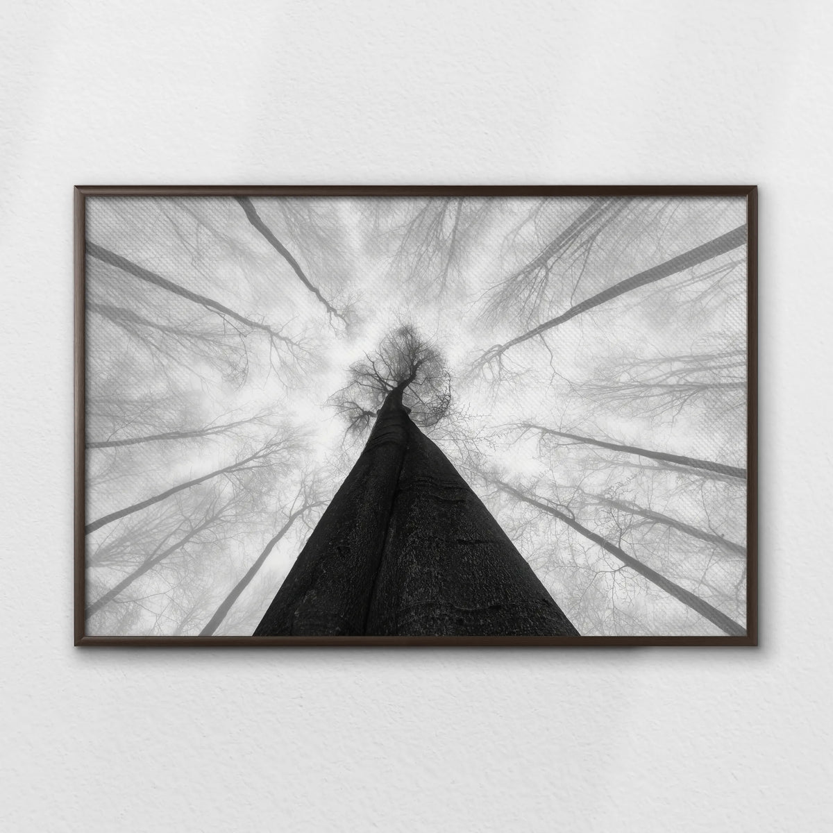 LWN100W070