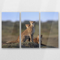 AL-060R040