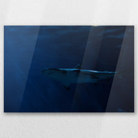 AC-030W020