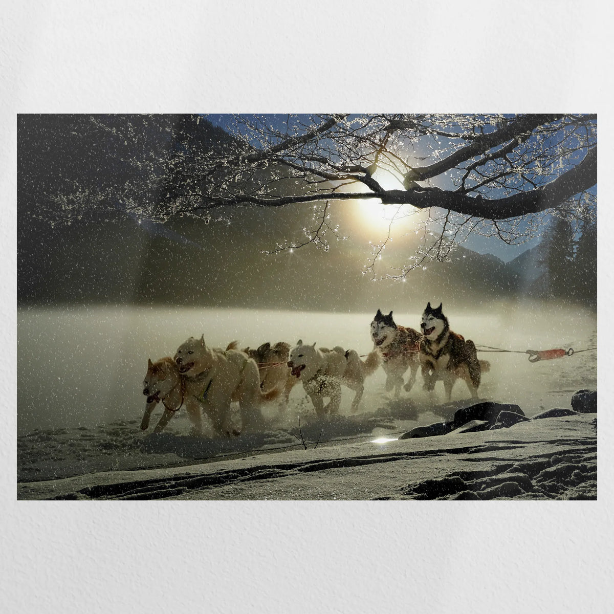 PO-120W080