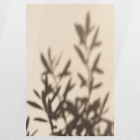 PO-030W045