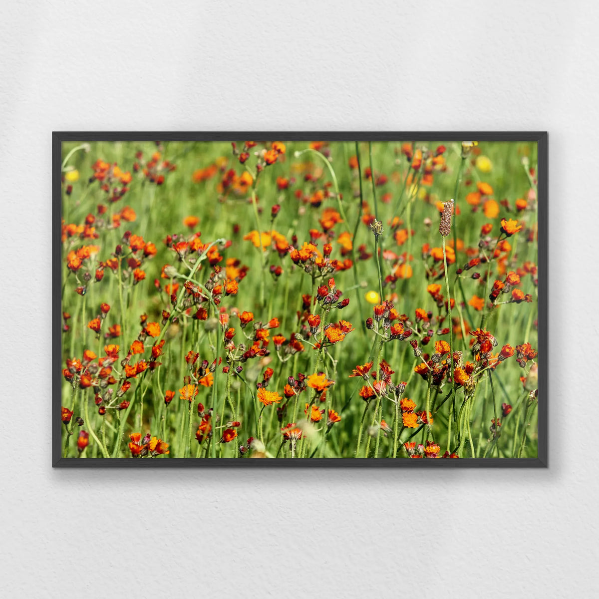 PK-093W062