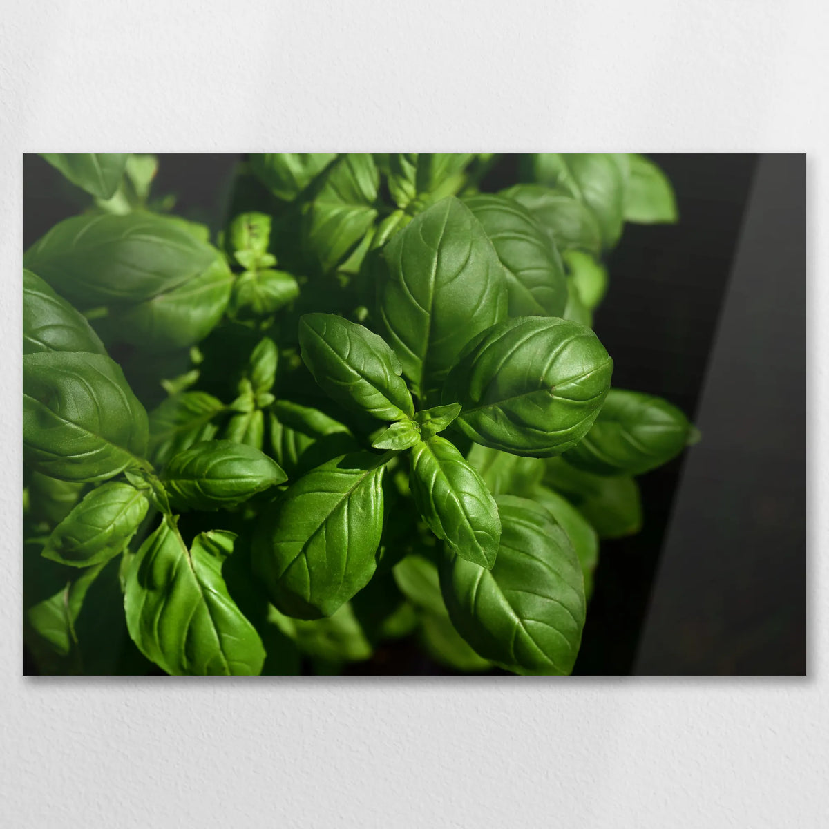 AL-075W050