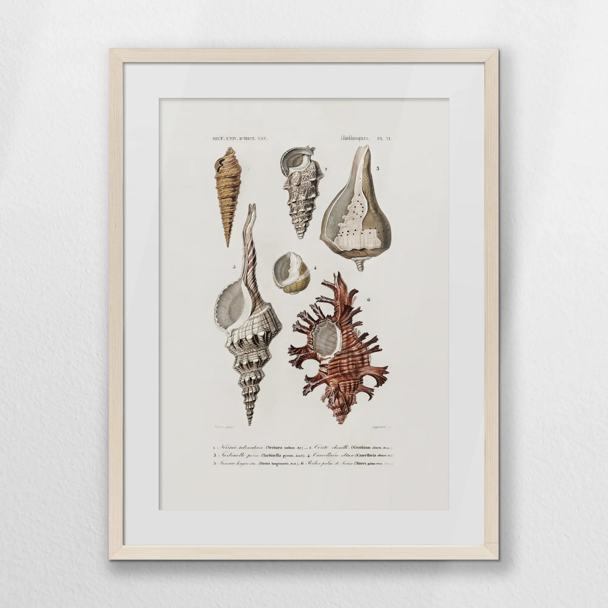 PNP050W070
