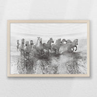 PN-060W040
