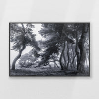 PB-093W062