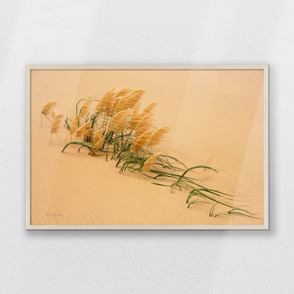 PN-093W062