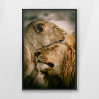 PB-040W060