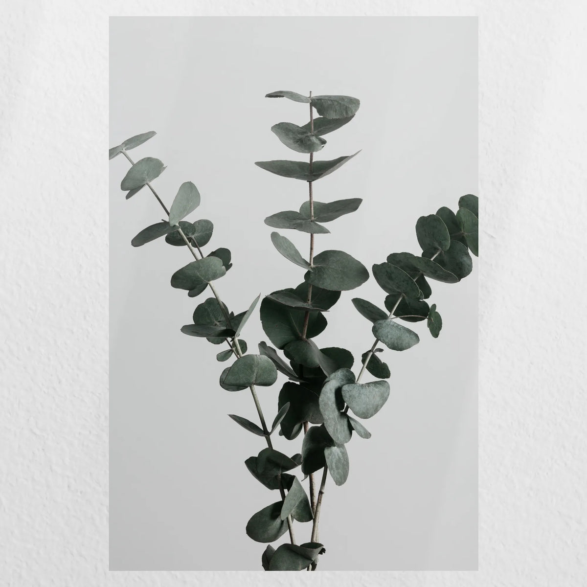 PO-030W045