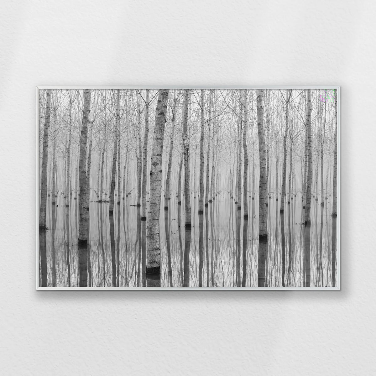 PS-093W062