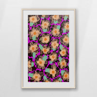 PNP070W100