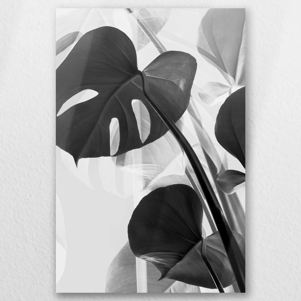 AL-050W075