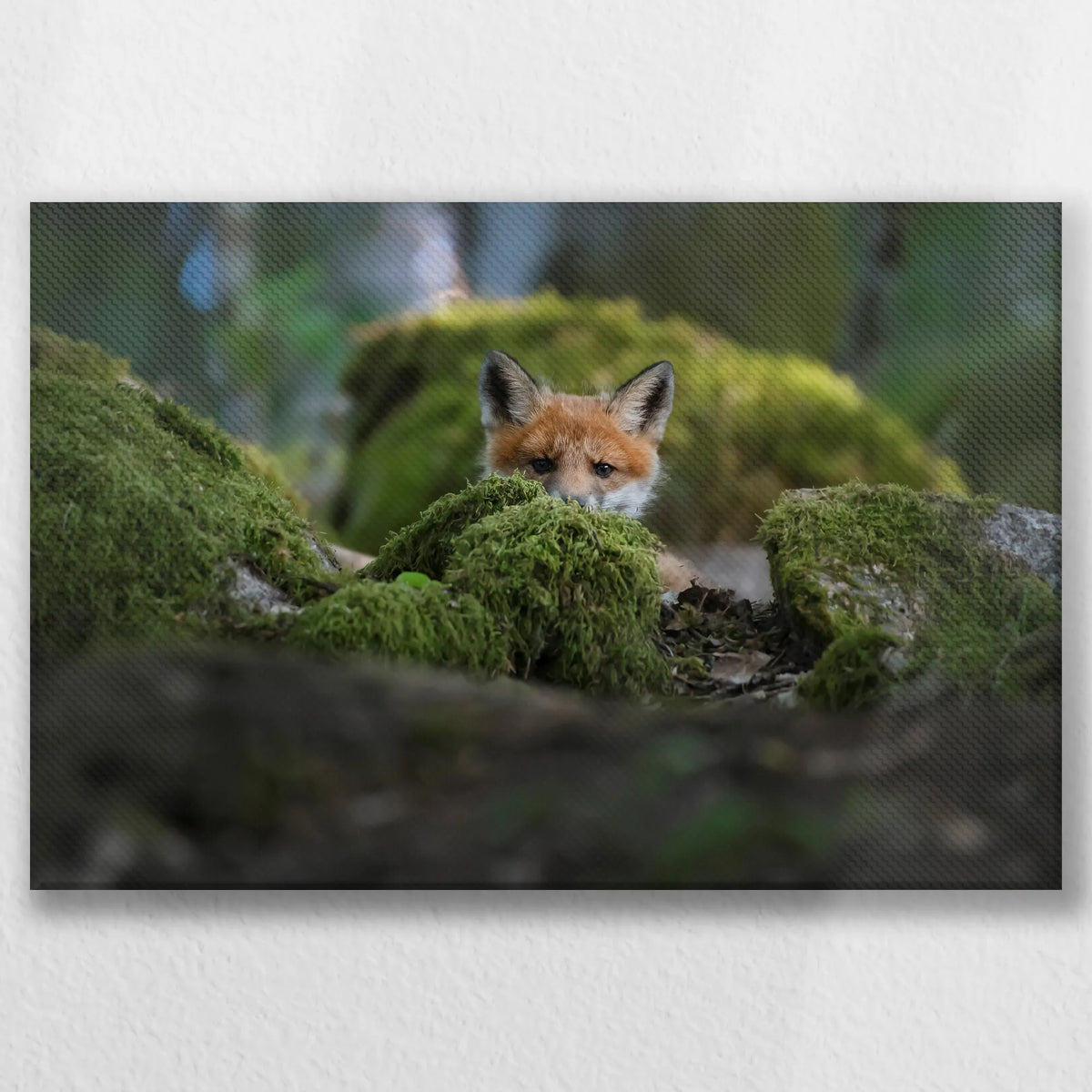 LW-045W030