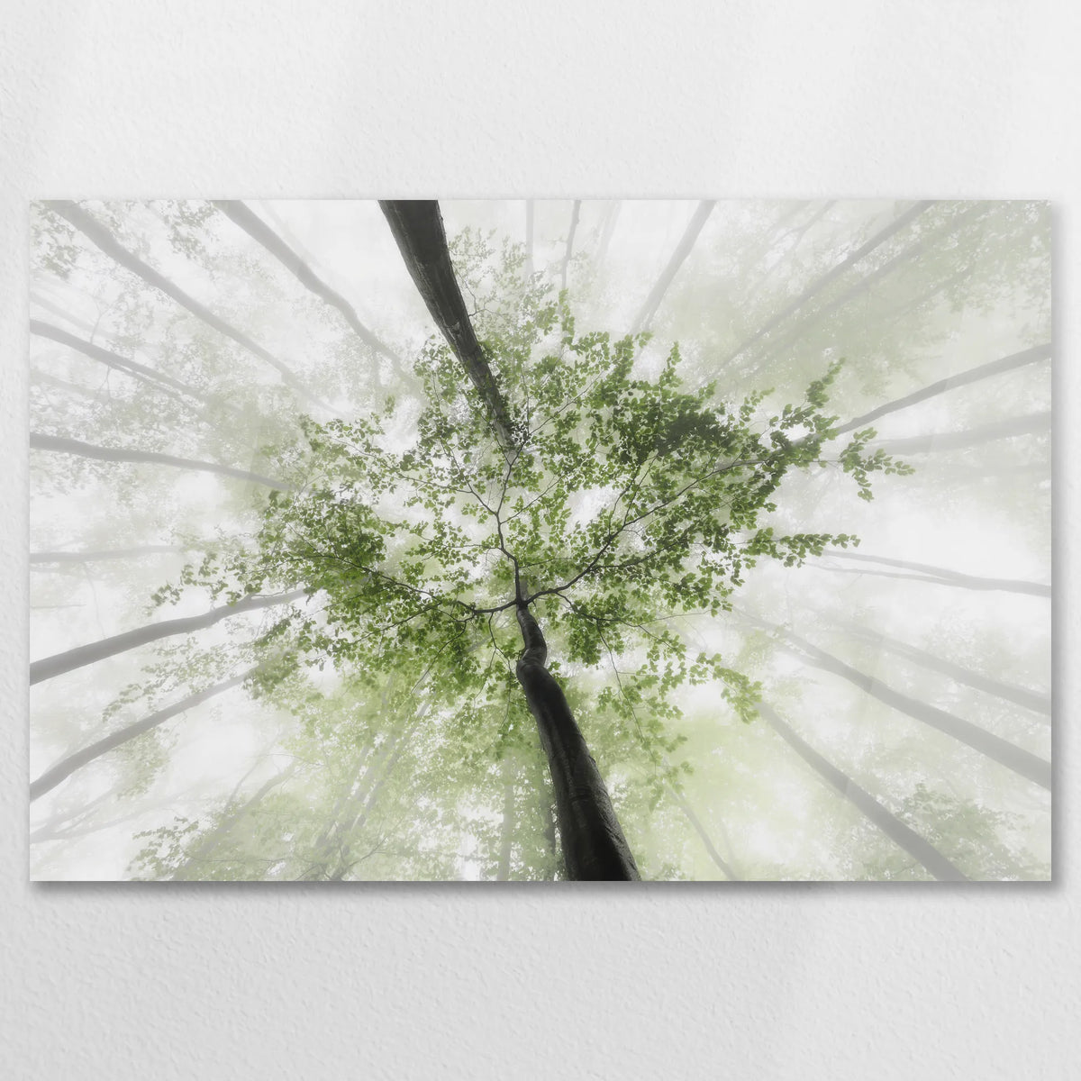 AC-075W050