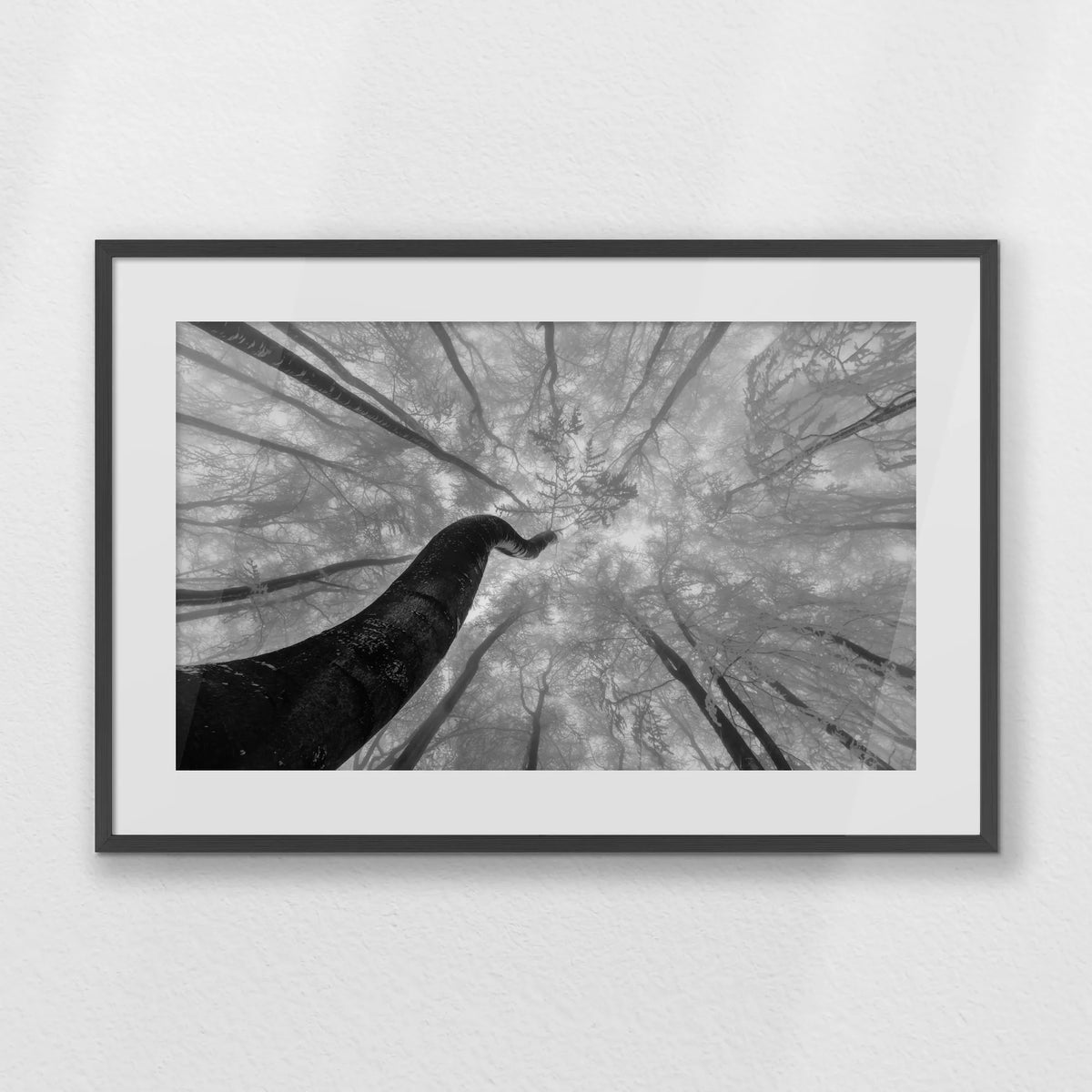 PKP093W062