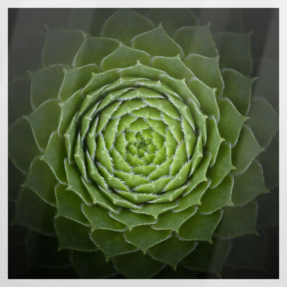 PO-070W070
