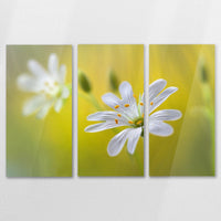 AC-120R080
