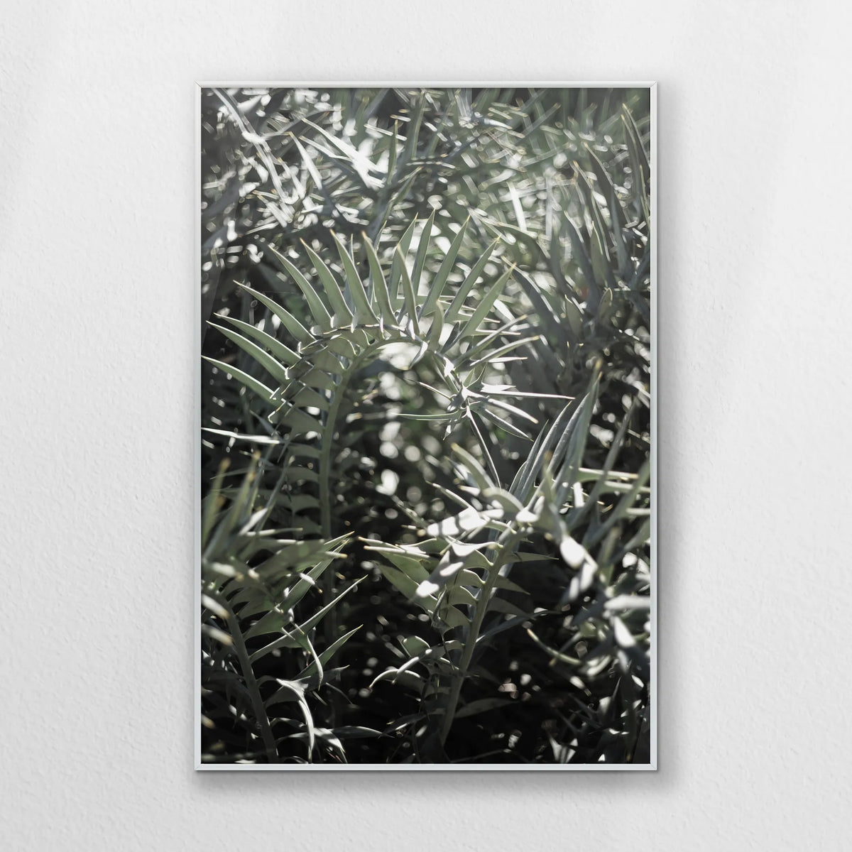 PS-062W093