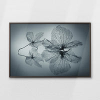 LWN120W080