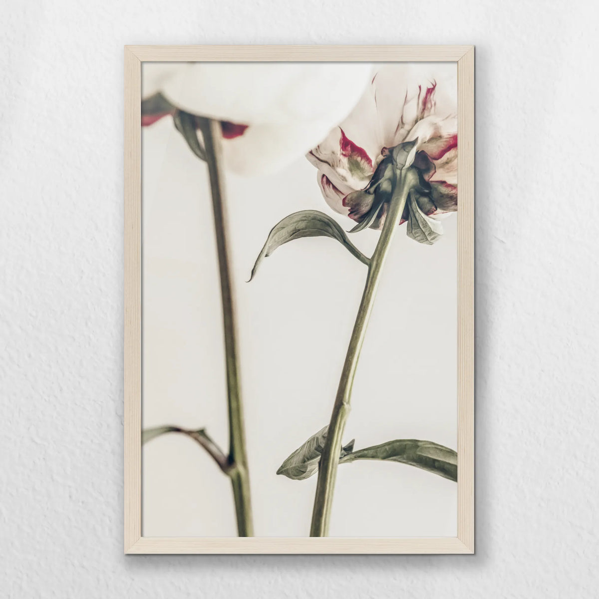 PN-040W060