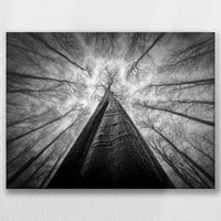 LW-060W045