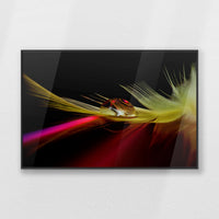 PB-093W062
