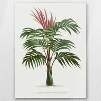 AC-045W060