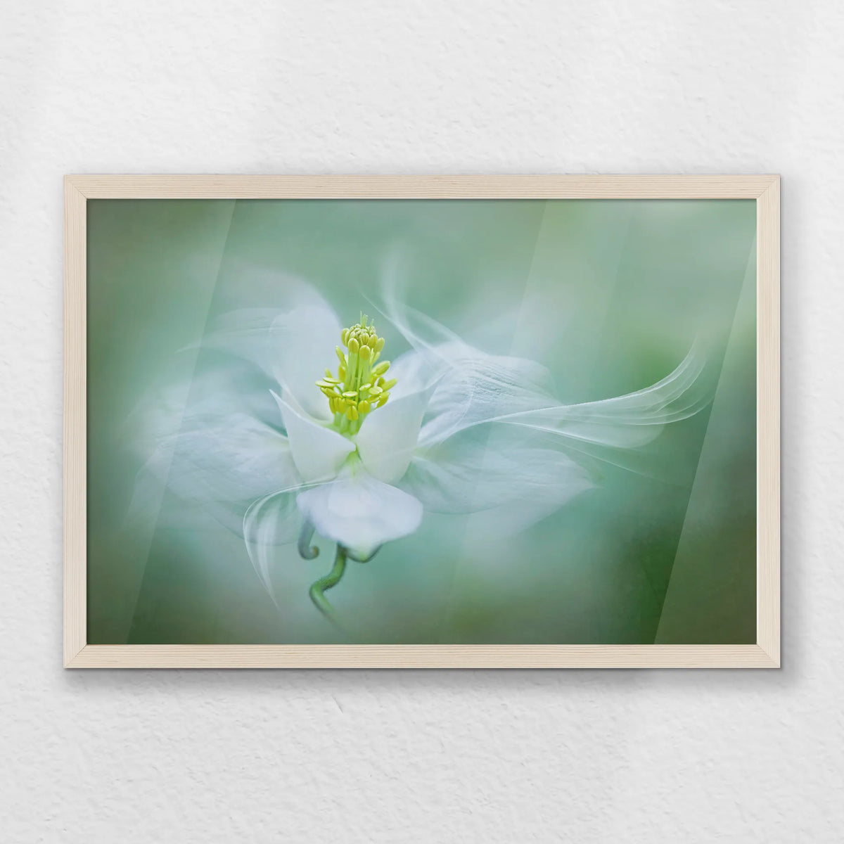 PN-060W040