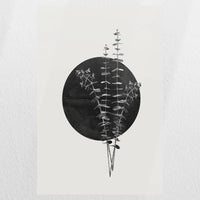 PO-030W045