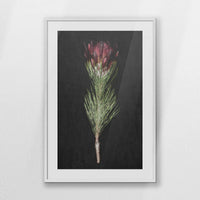 PWP070W100